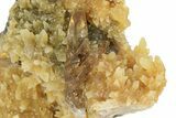 Honey Colored Barite Crystals on Fluorescent Calcite - Elk Creek #240836-1